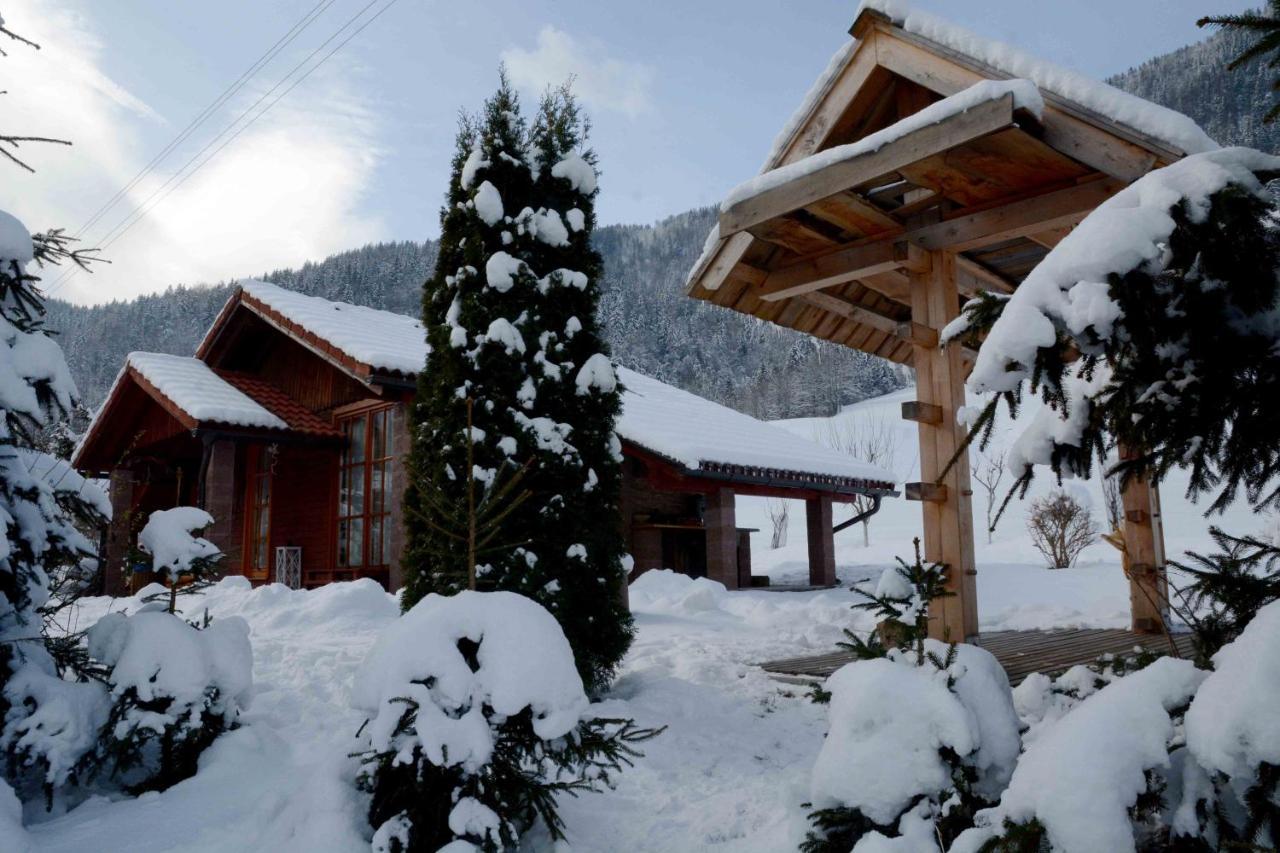 Vila Studio Alpika Luče Exteriér fotografie