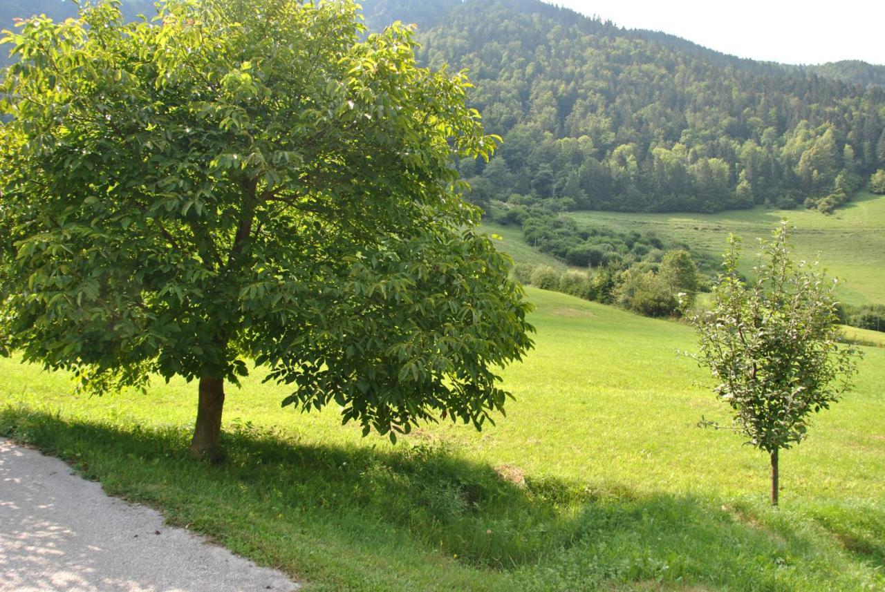 Vila Studio Alpika Luče Exteriér fotografie