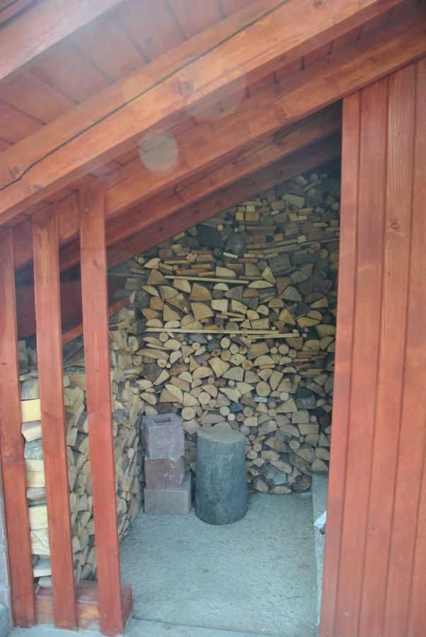 Vila Studio Alpika Luče Exteriér fotografie