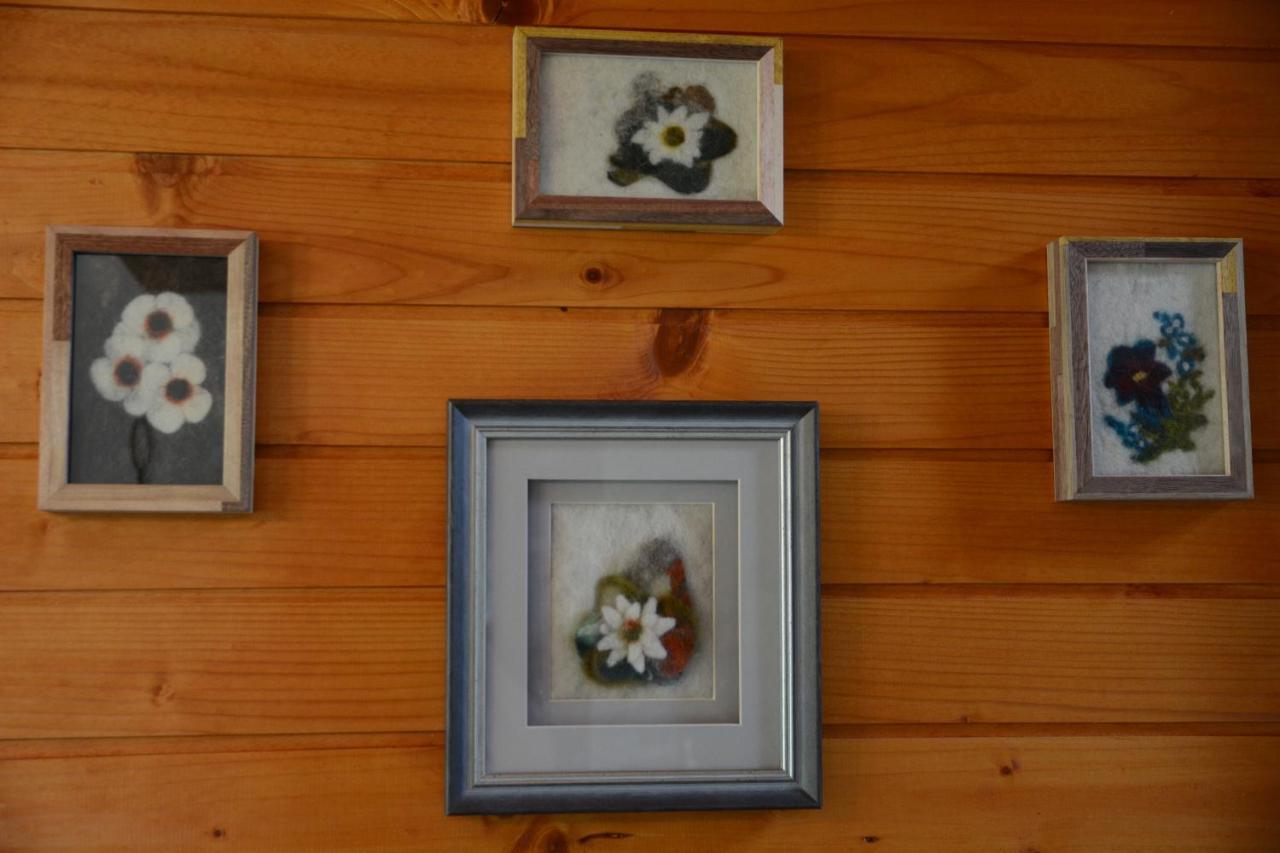 Vila Studio Alpika Luče Exteriér fotografie