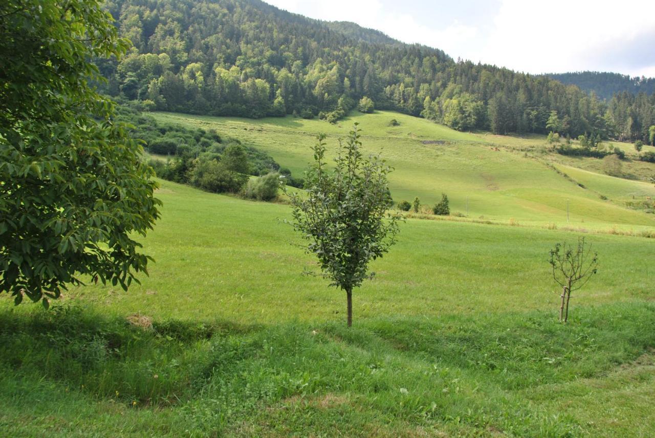 Vila Studio Alpika Luče Exteriér fotografie