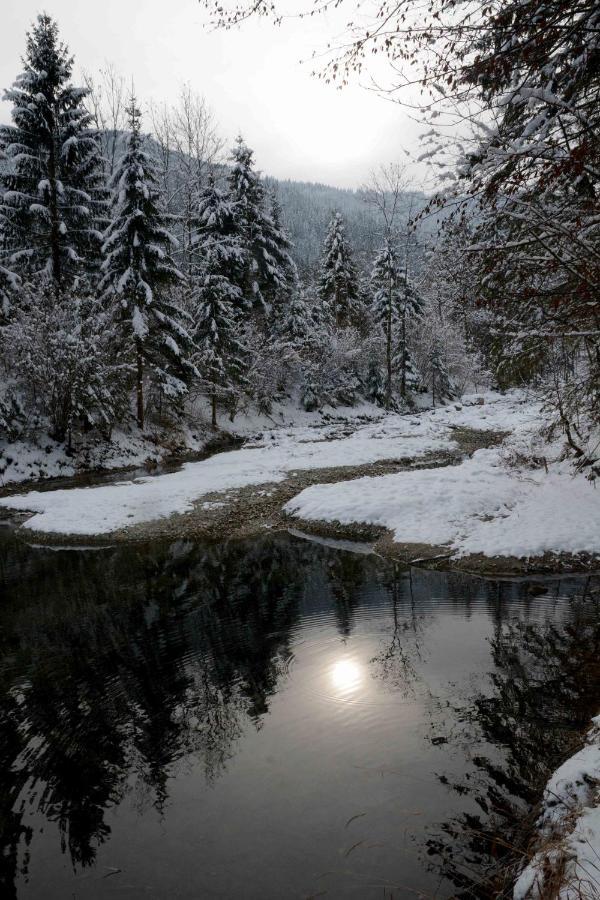 Vila Studio Alpika Luče Exteriér fotografie
